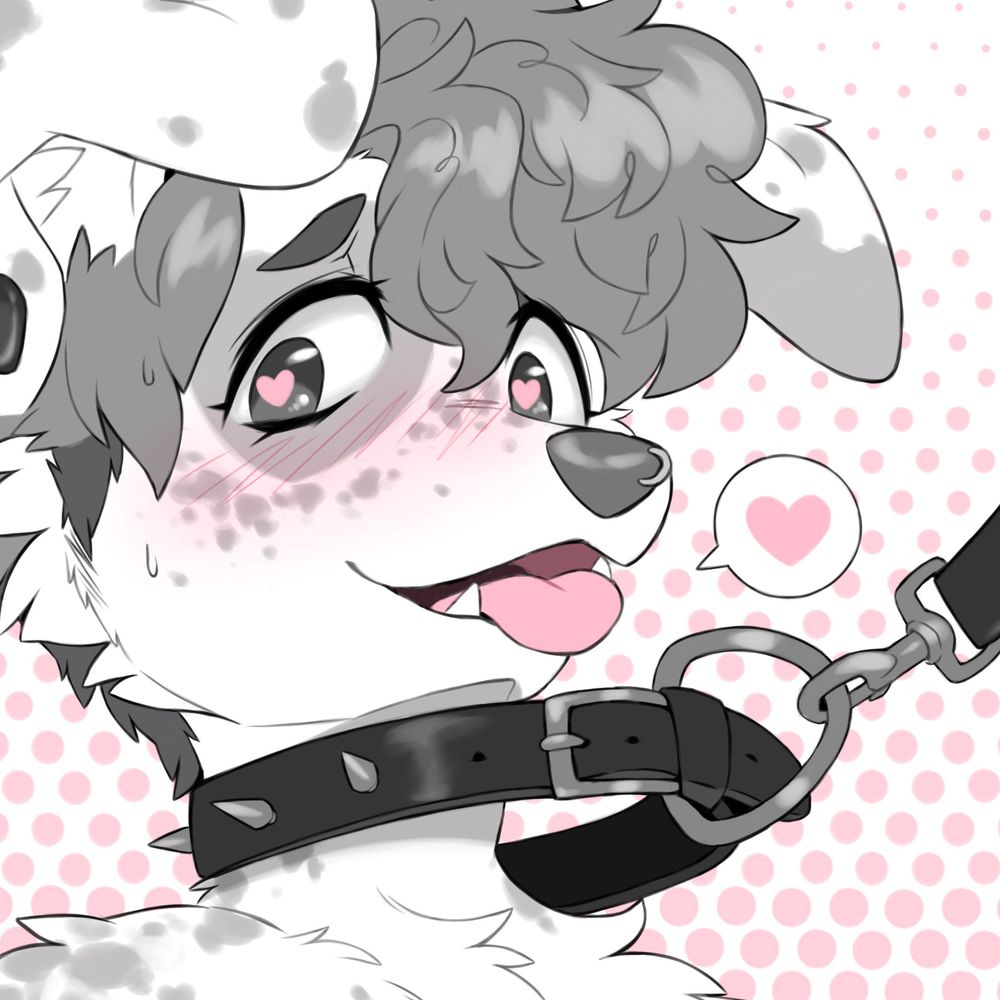 Nik Soft--Dogs