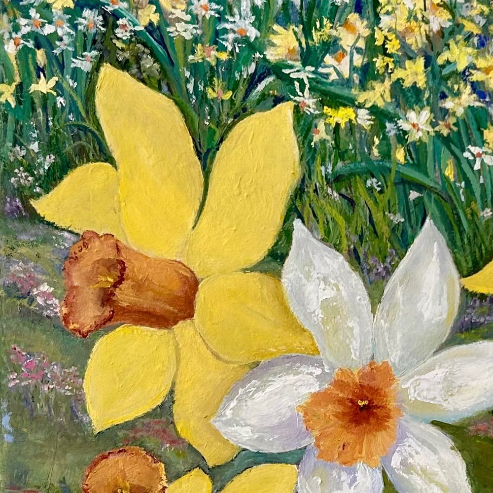 Jan Claffey