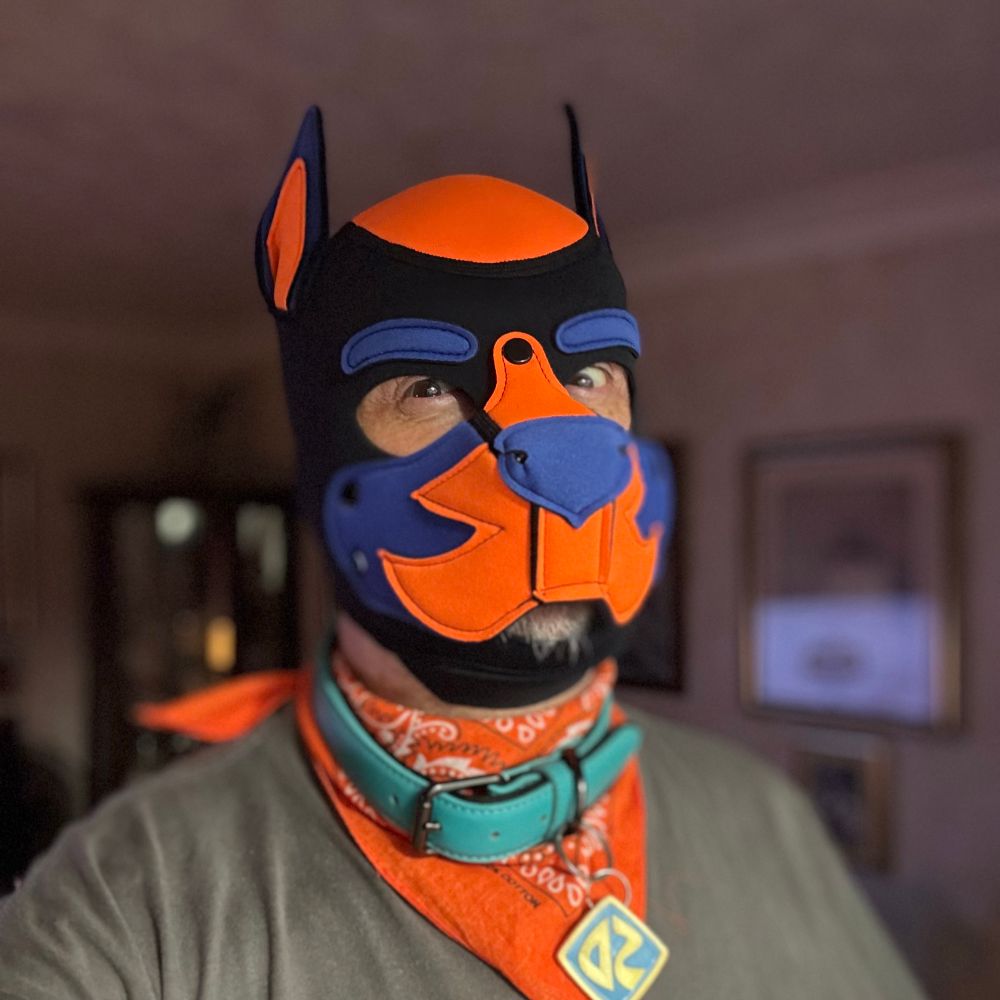 Scoobs