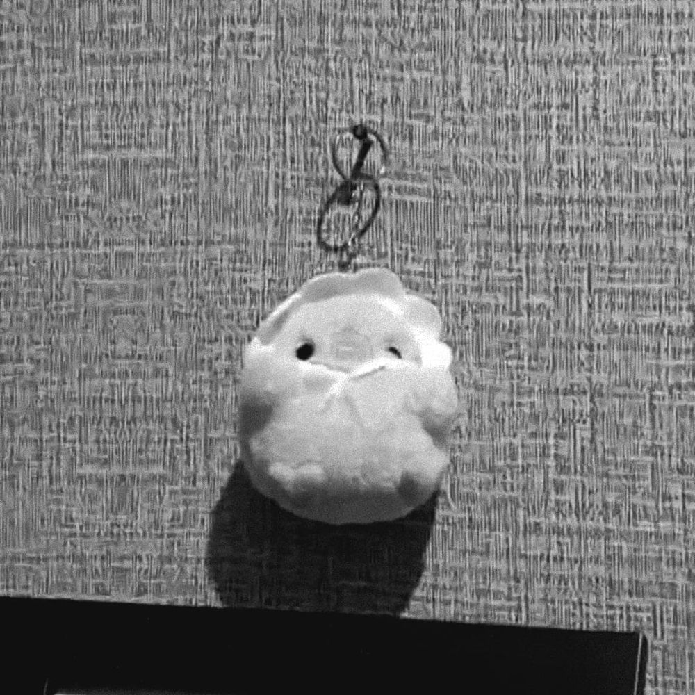 pan🐣