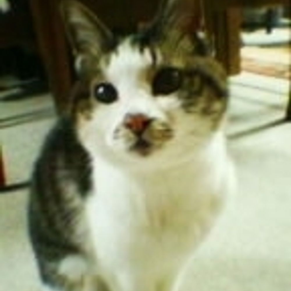 wakky
