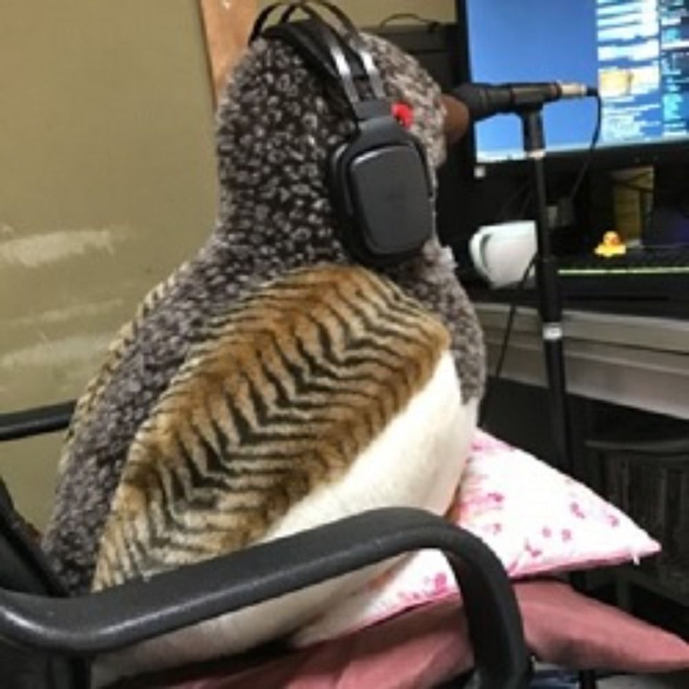 雷鳥ちゃん