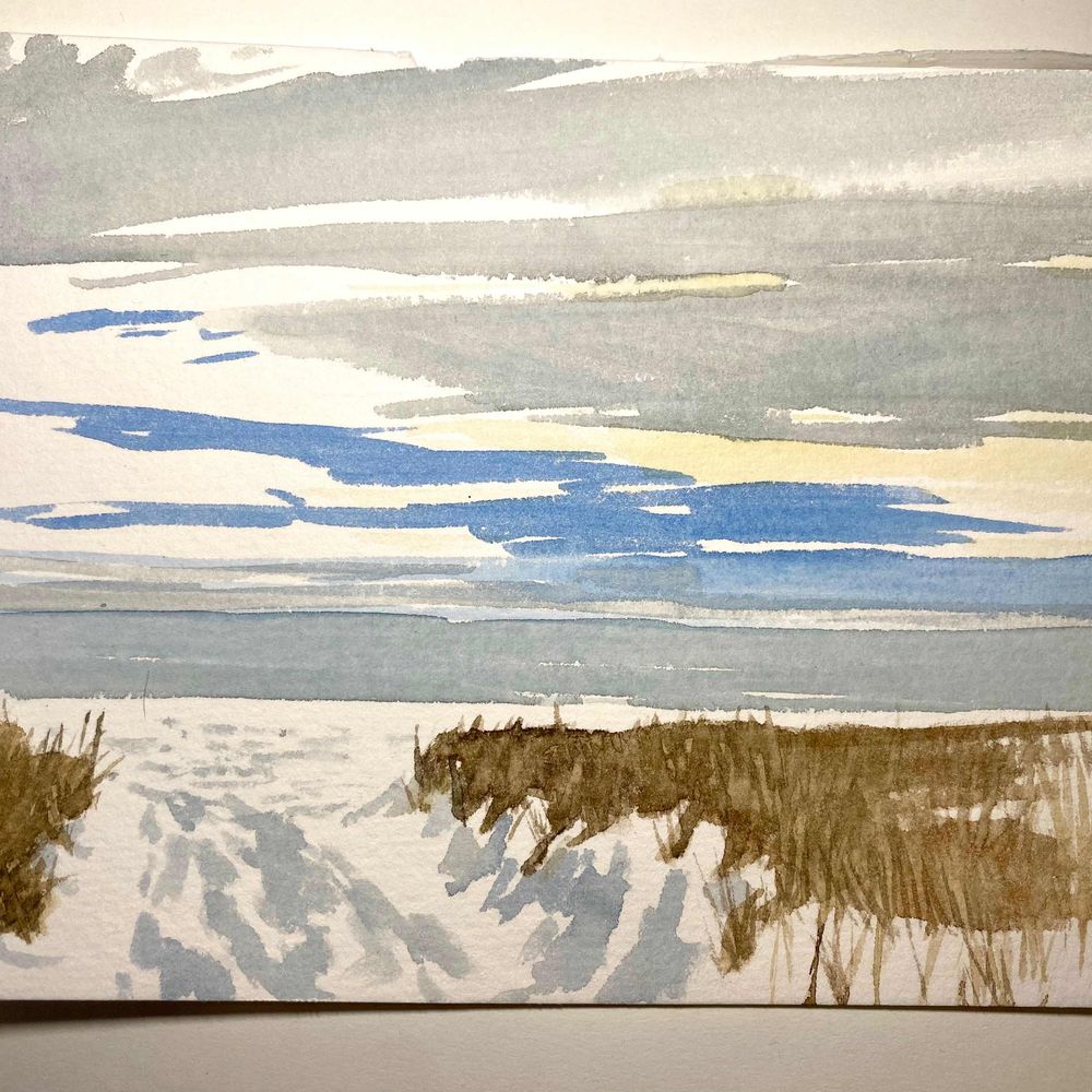 Holly M Burns