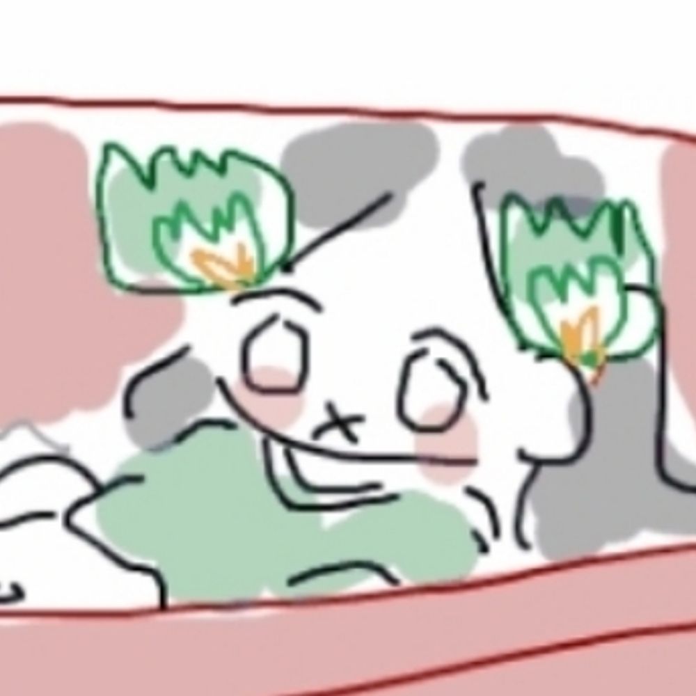 배추