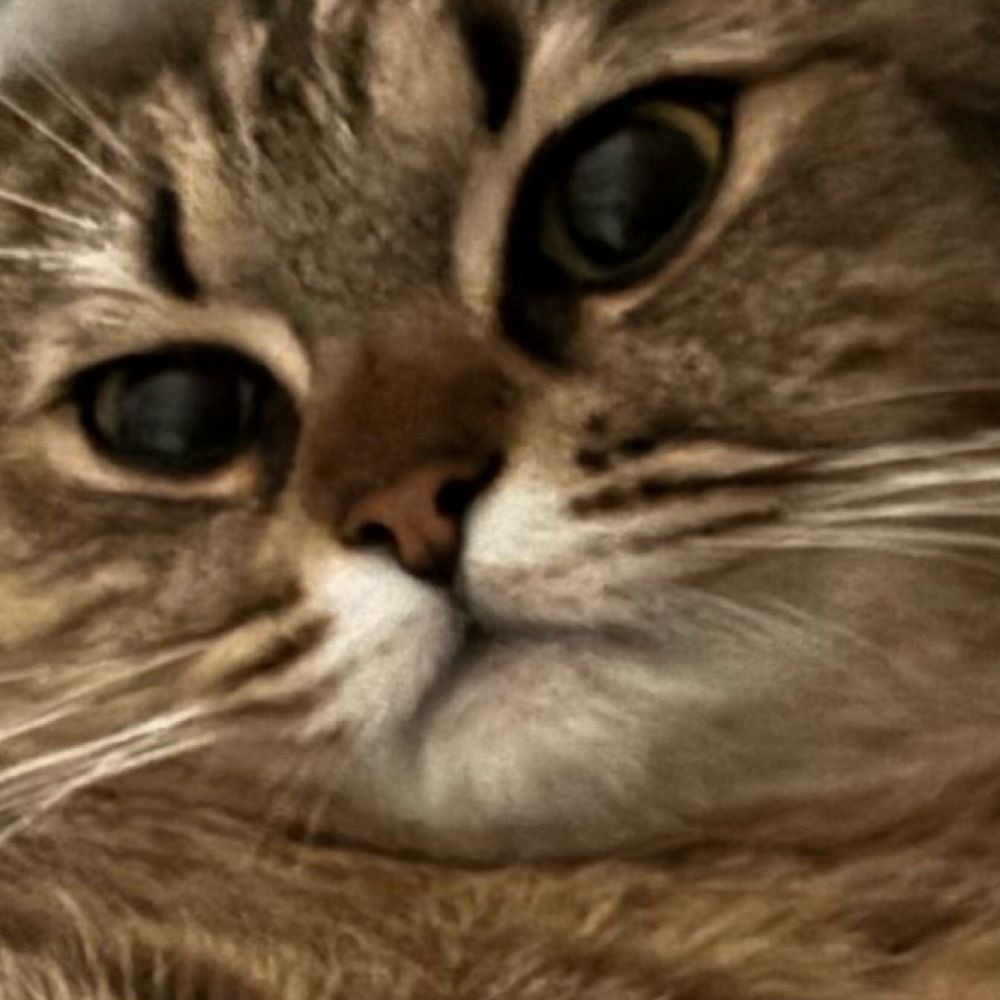 em