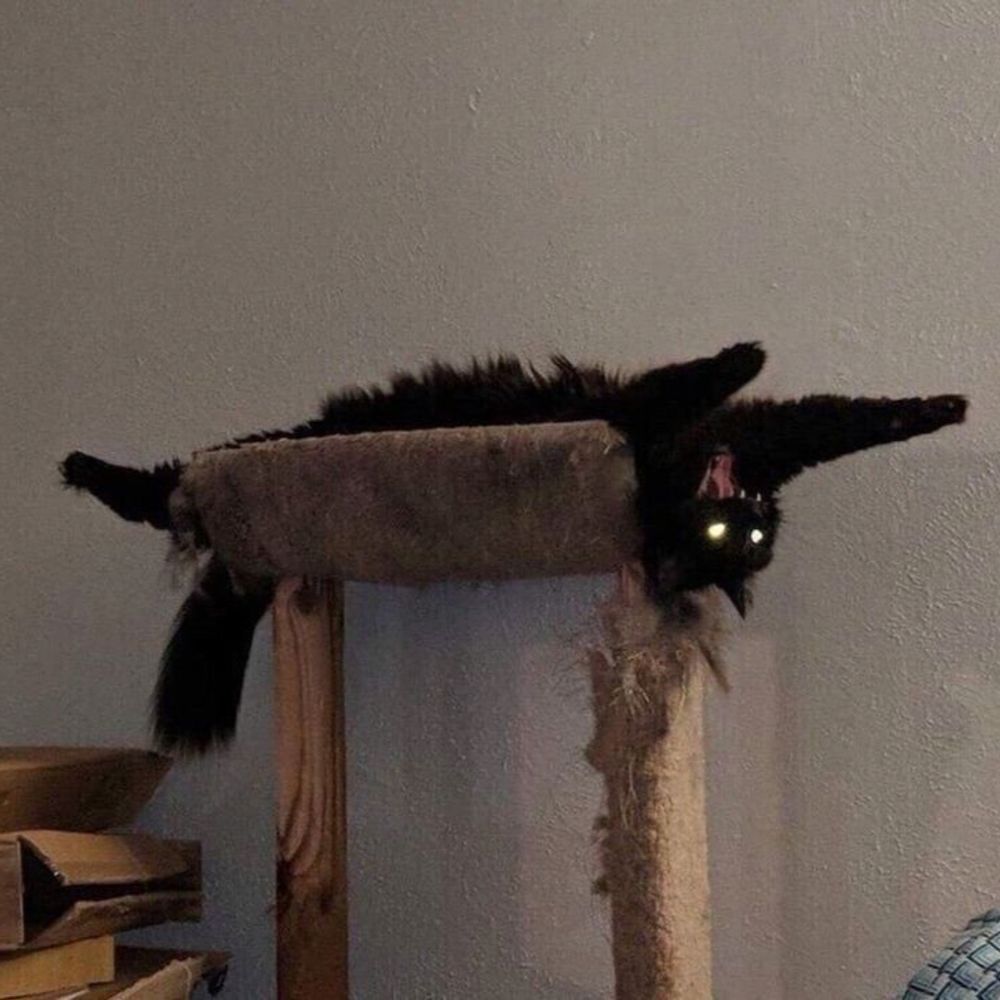 모두깎이인형