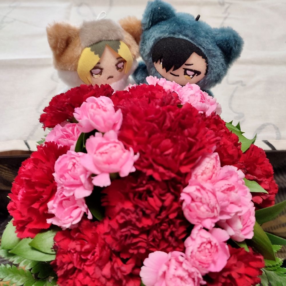 ぴりか。🐈‍⬛🐈️サブ