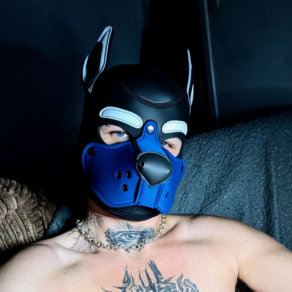 Pup Spike
