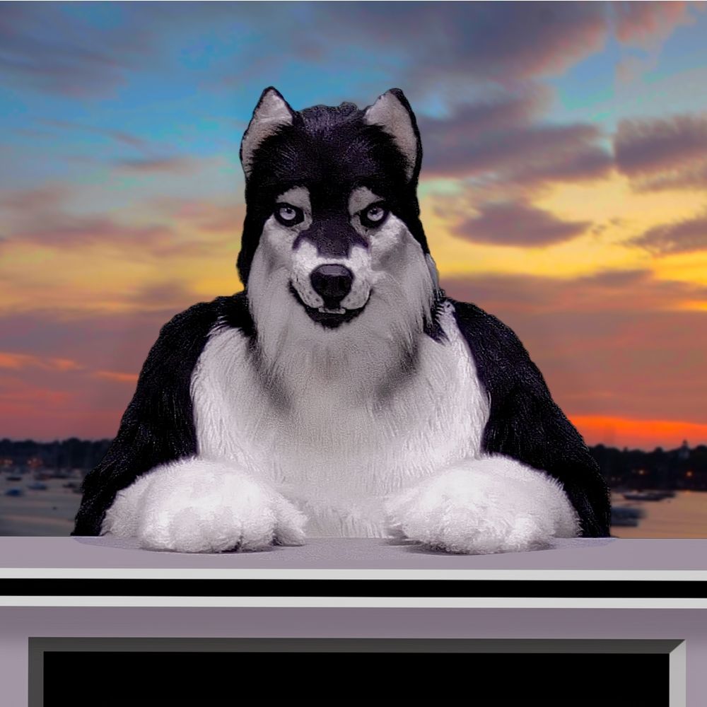 Tasper Husky / Ferex ShinyFox 🔜 Megaplex