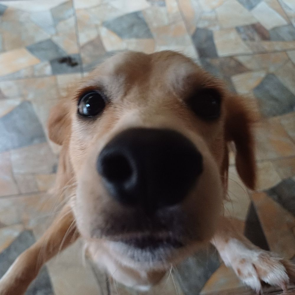 Arthur ᶜᵃᵐ 