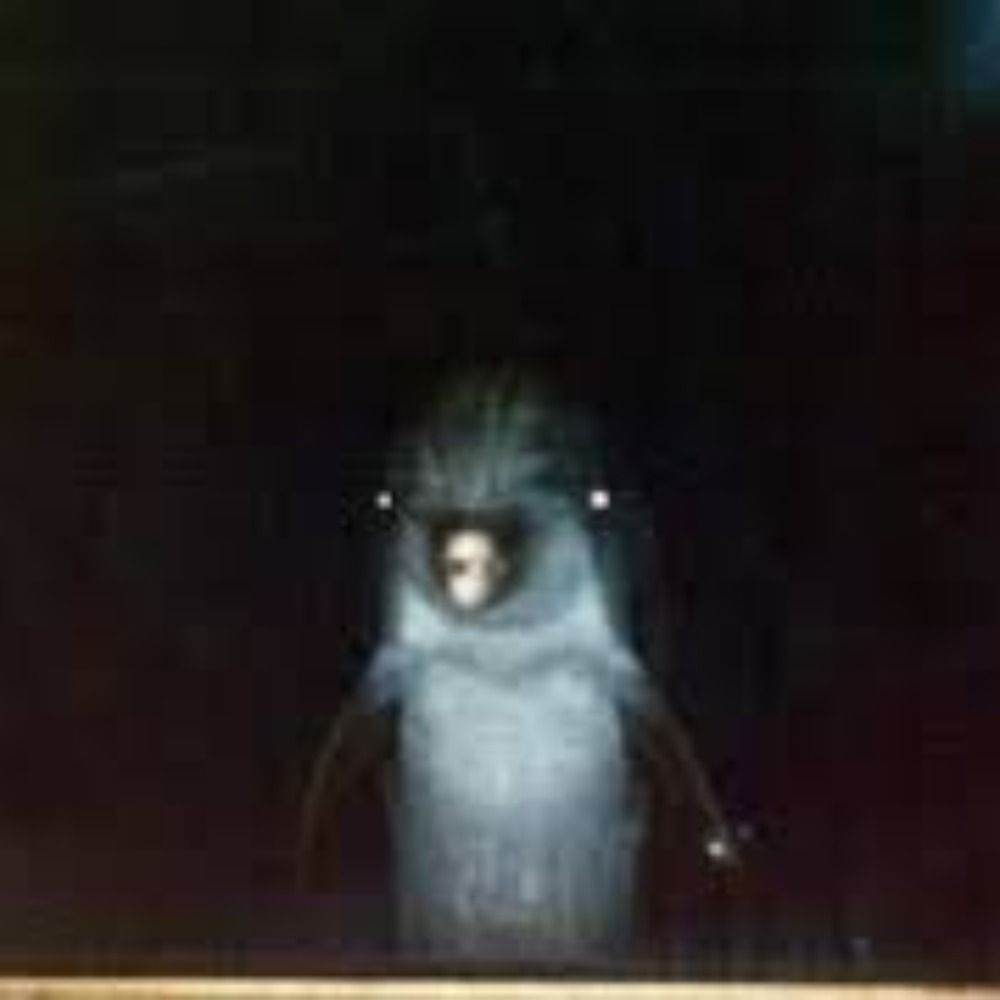 DyllanTheSpookyDolphin
