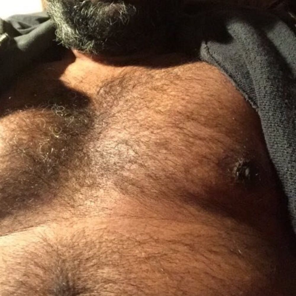 London brown bear