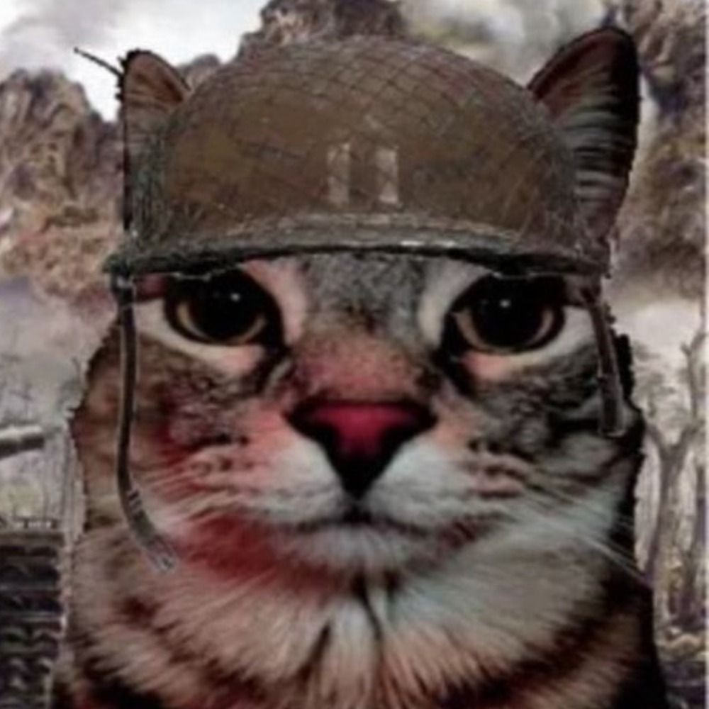  Teteu