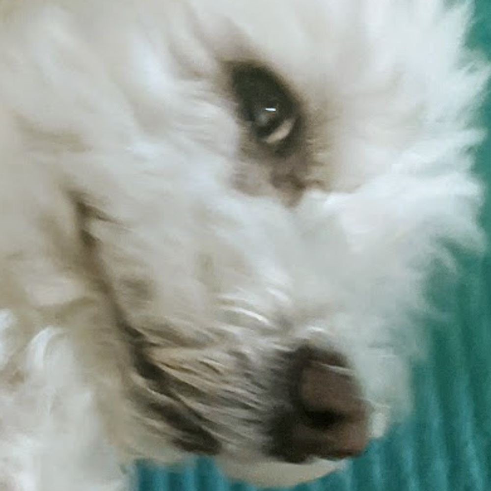hihoberry