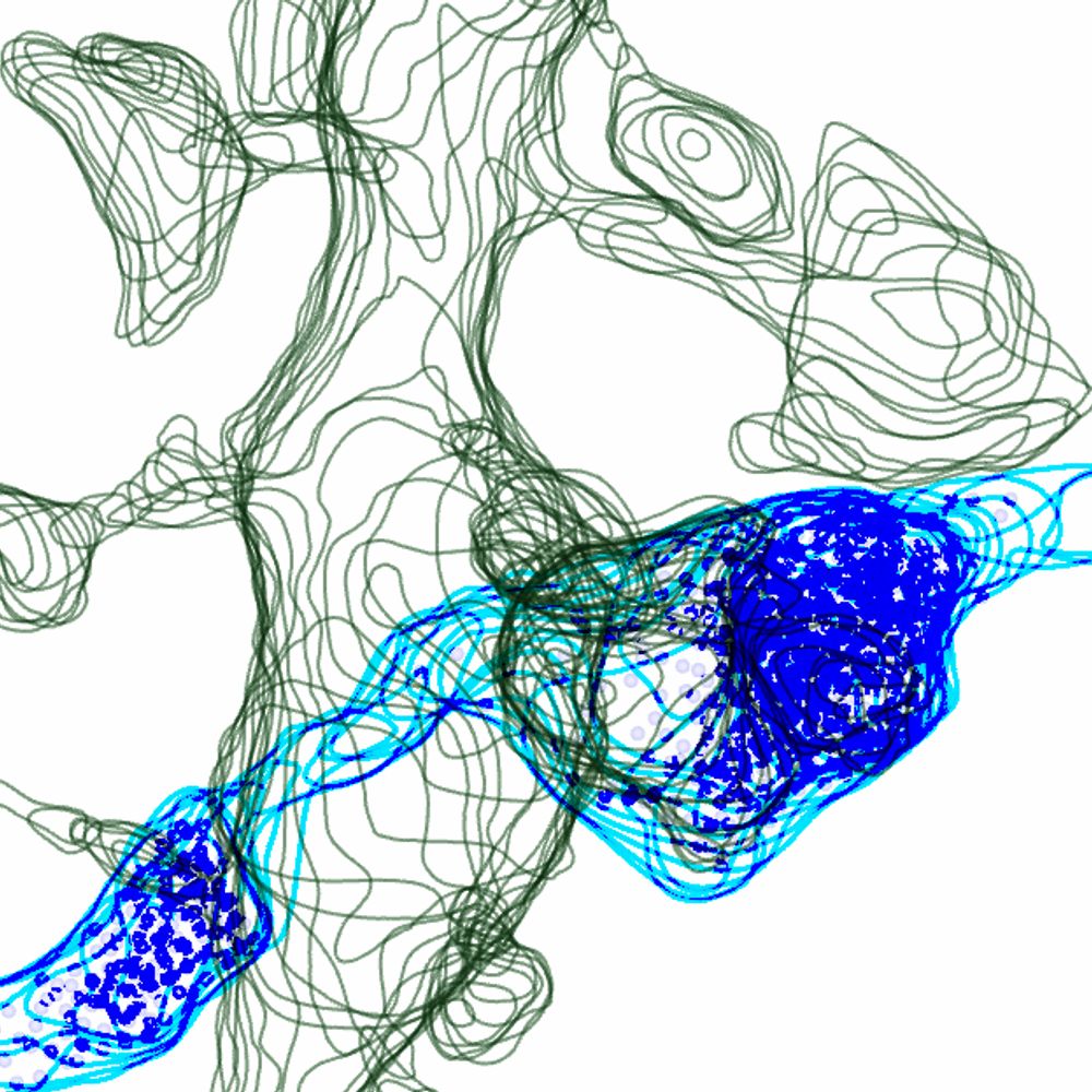 Synaptic sculptures