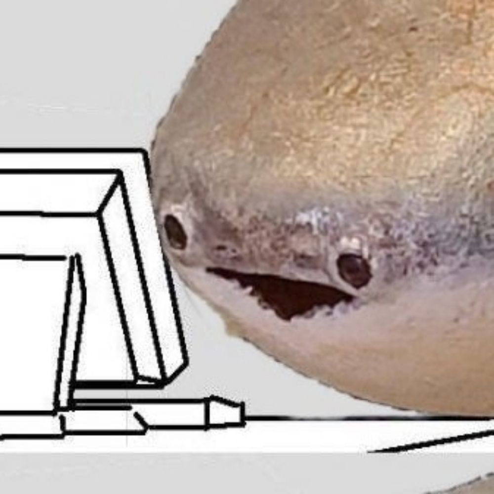 Æ☆
