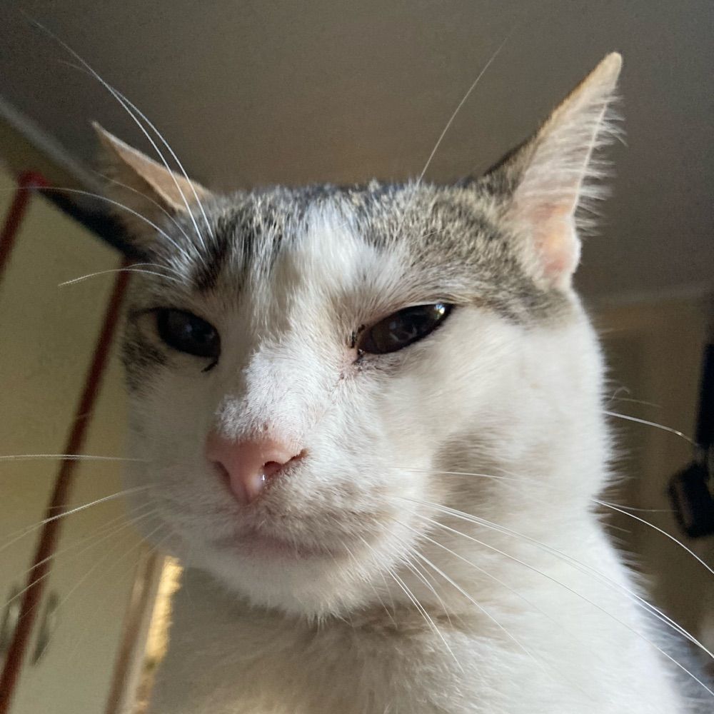 marcel