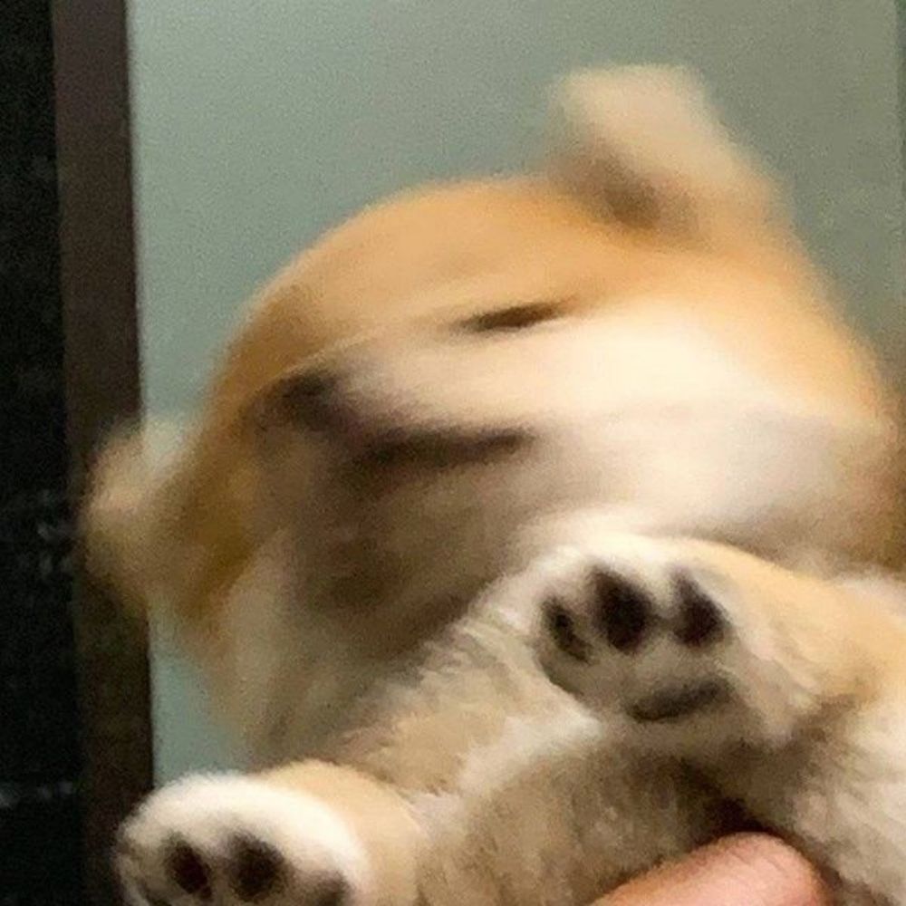 미여기