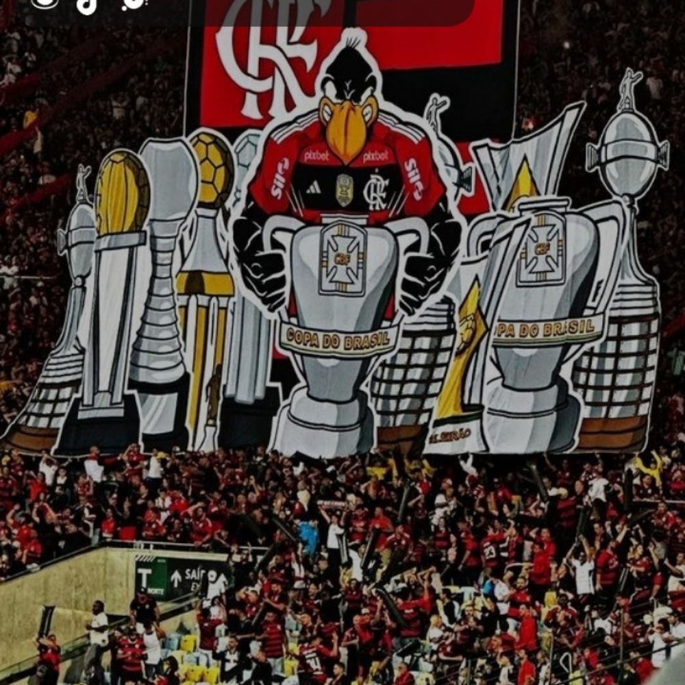 Ok flamigo🇦🇱