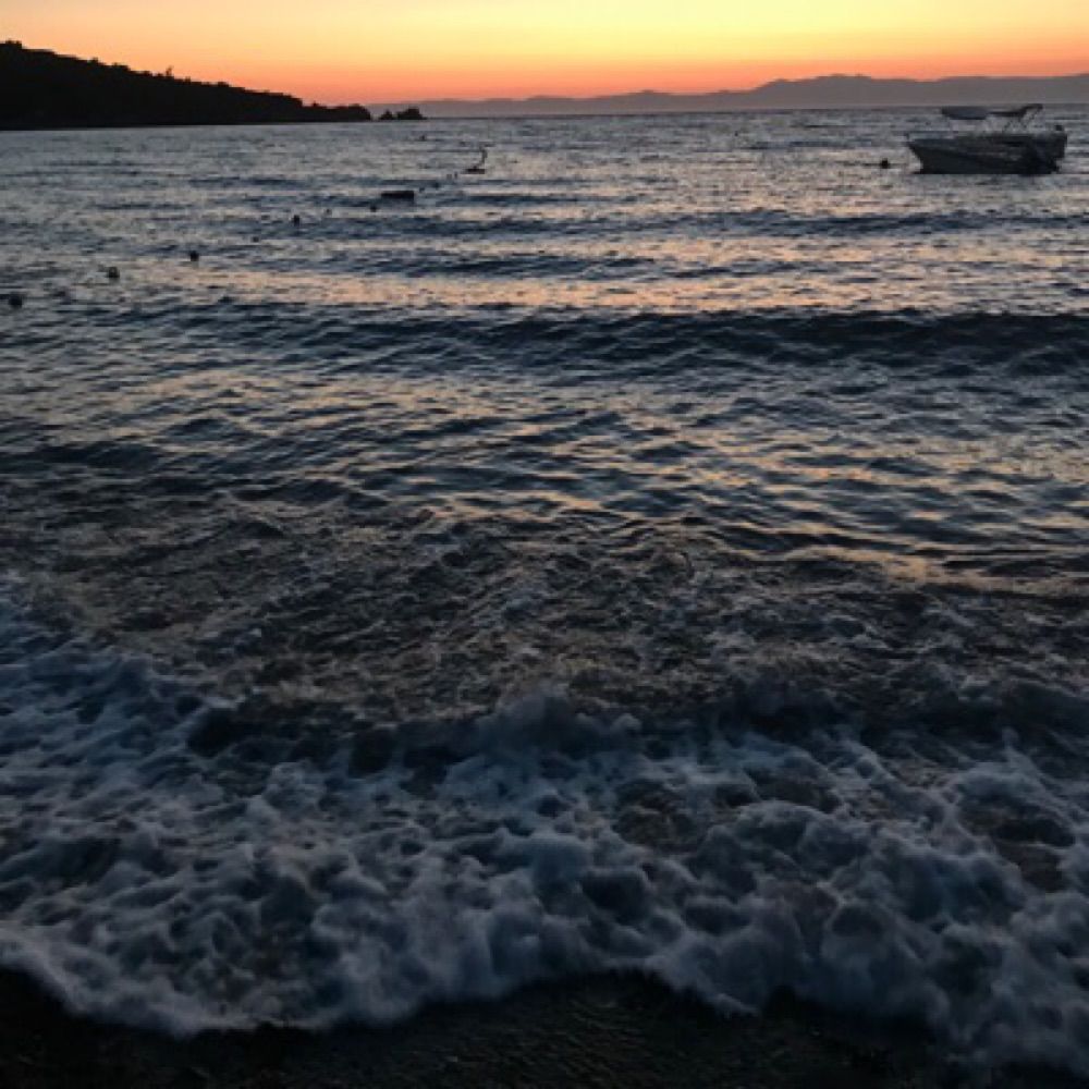 nerenoglu