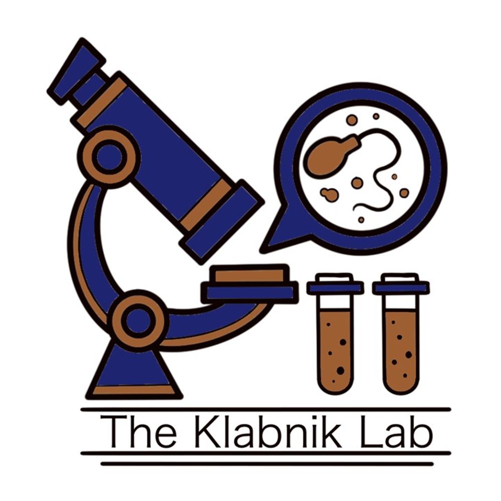 The Klabnik Lab
