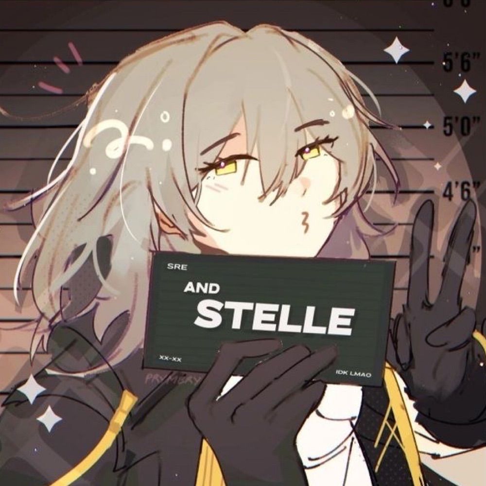 STELLE 🦝