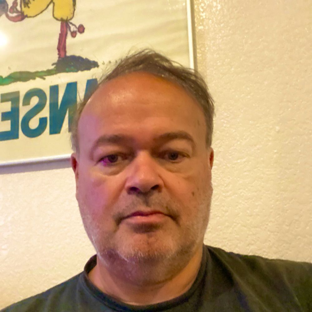 Rene Vellinga
