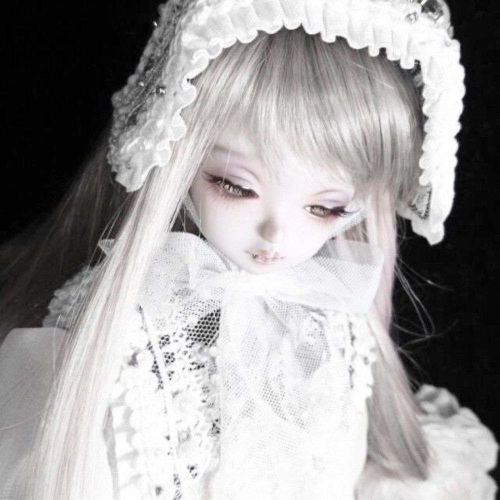 !anqelws¡꩜ 🦭