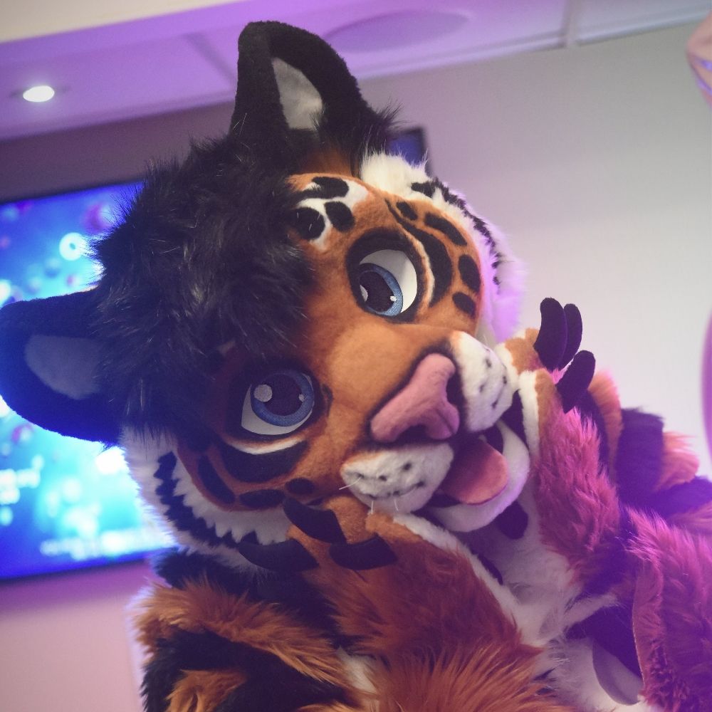 Thunder-Tail 🔜 ConFuzzled