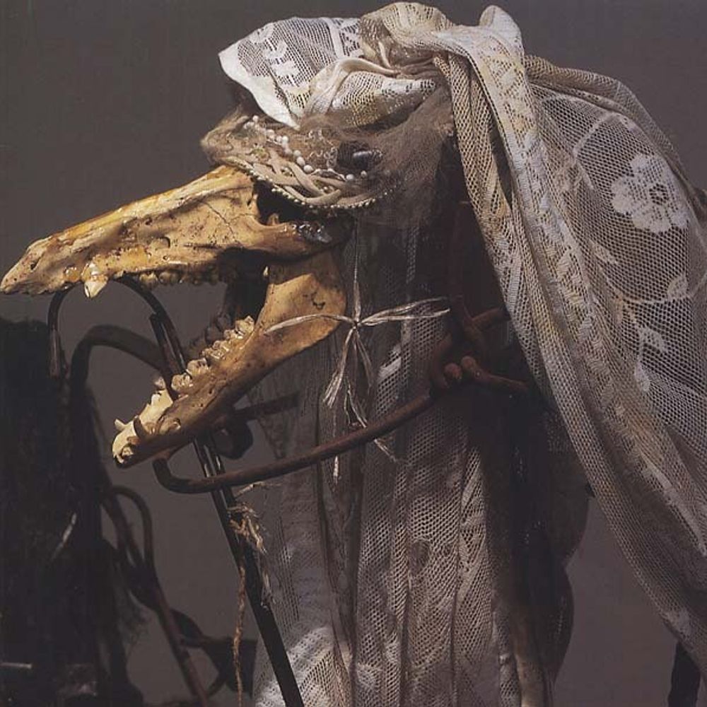 BOG BODY BABE! θ∆ HE/HIM