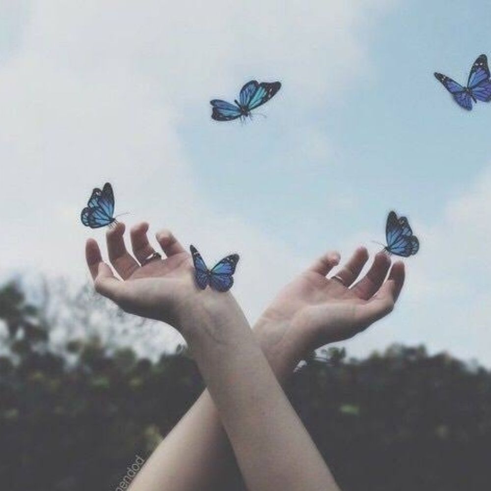 🦋 lady⁷