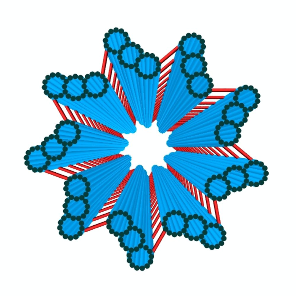 Centrosome Papers