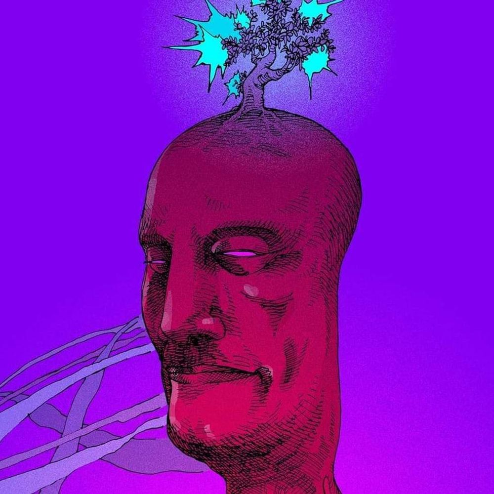 Stref