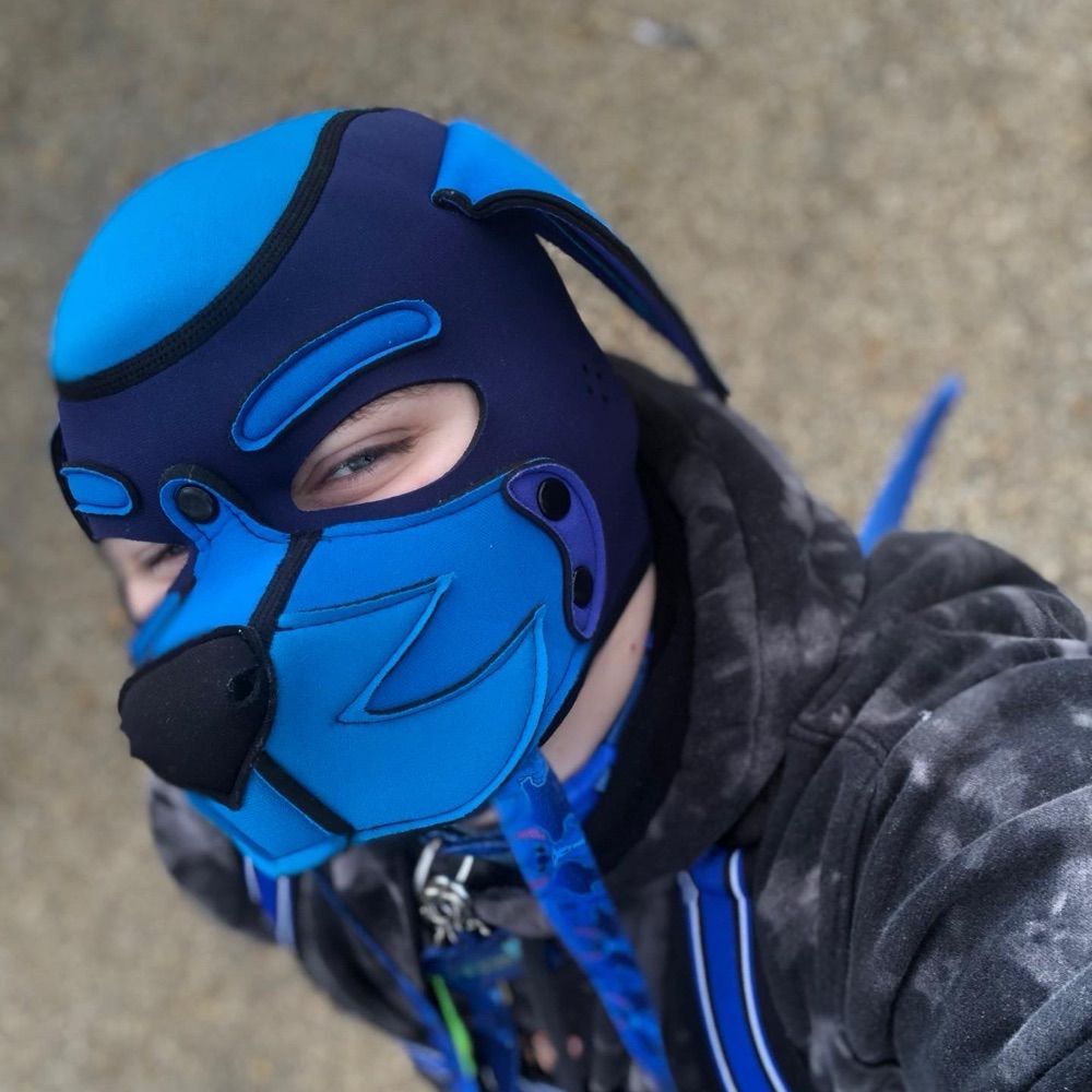 Pup Sammy