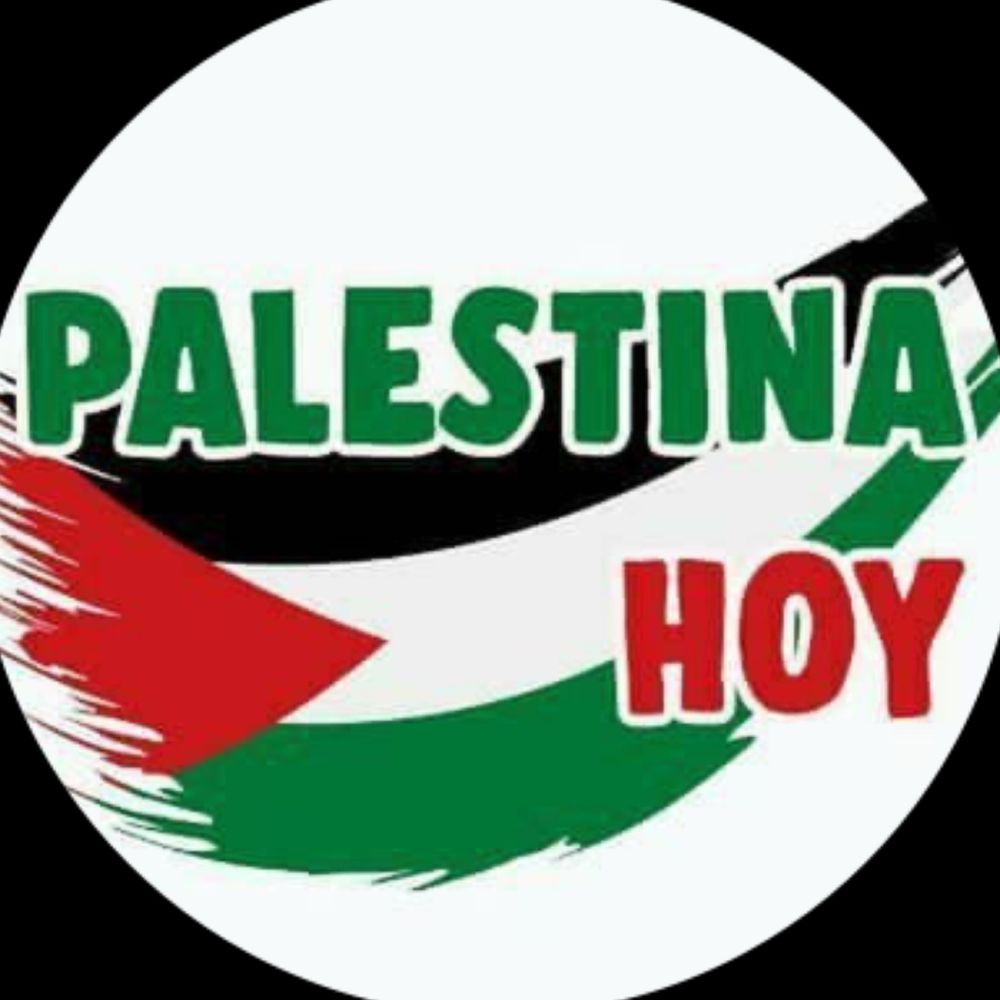 Palestina Hoy's avatar
