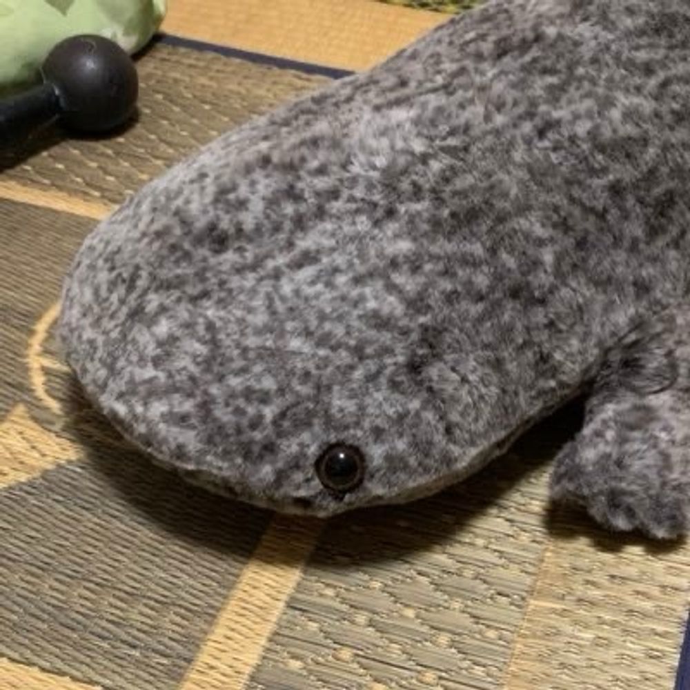 石ころの化身