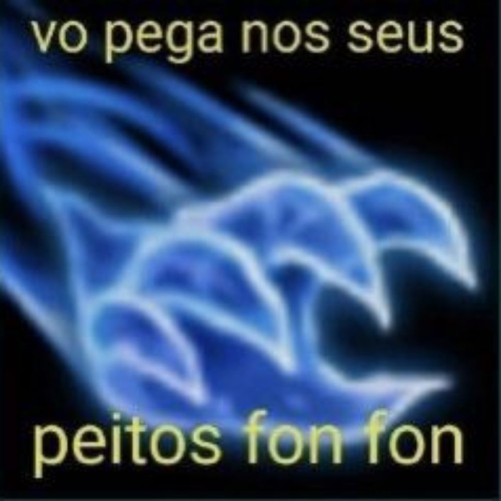 Kajs