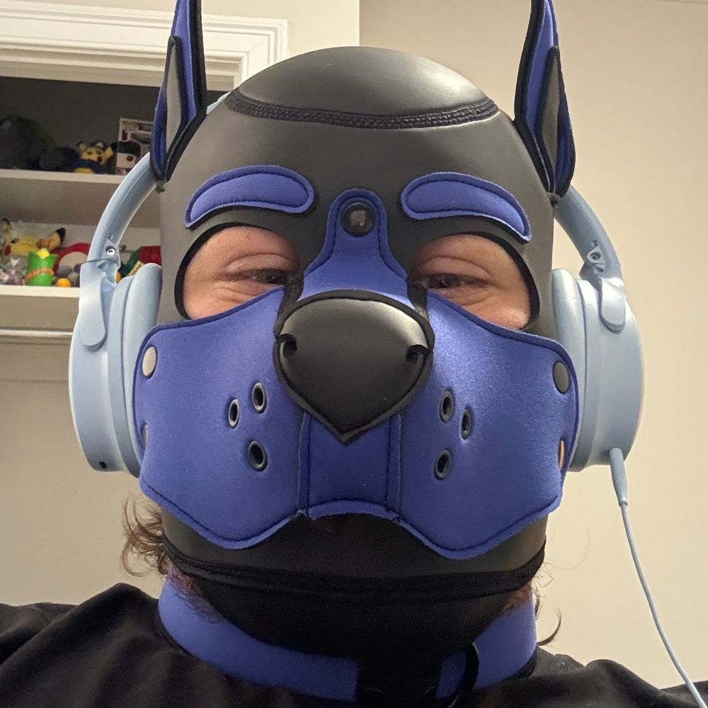 Pup Ajax