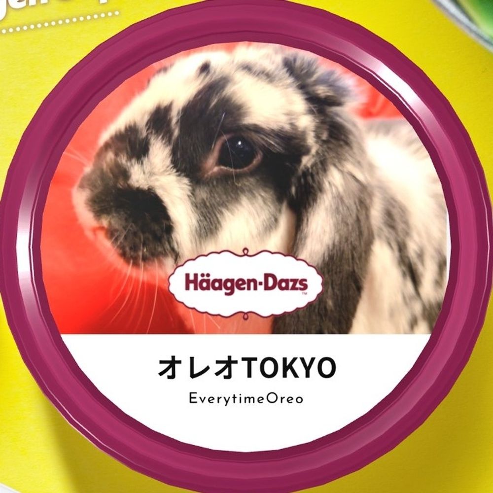 うさぎ1st🐇