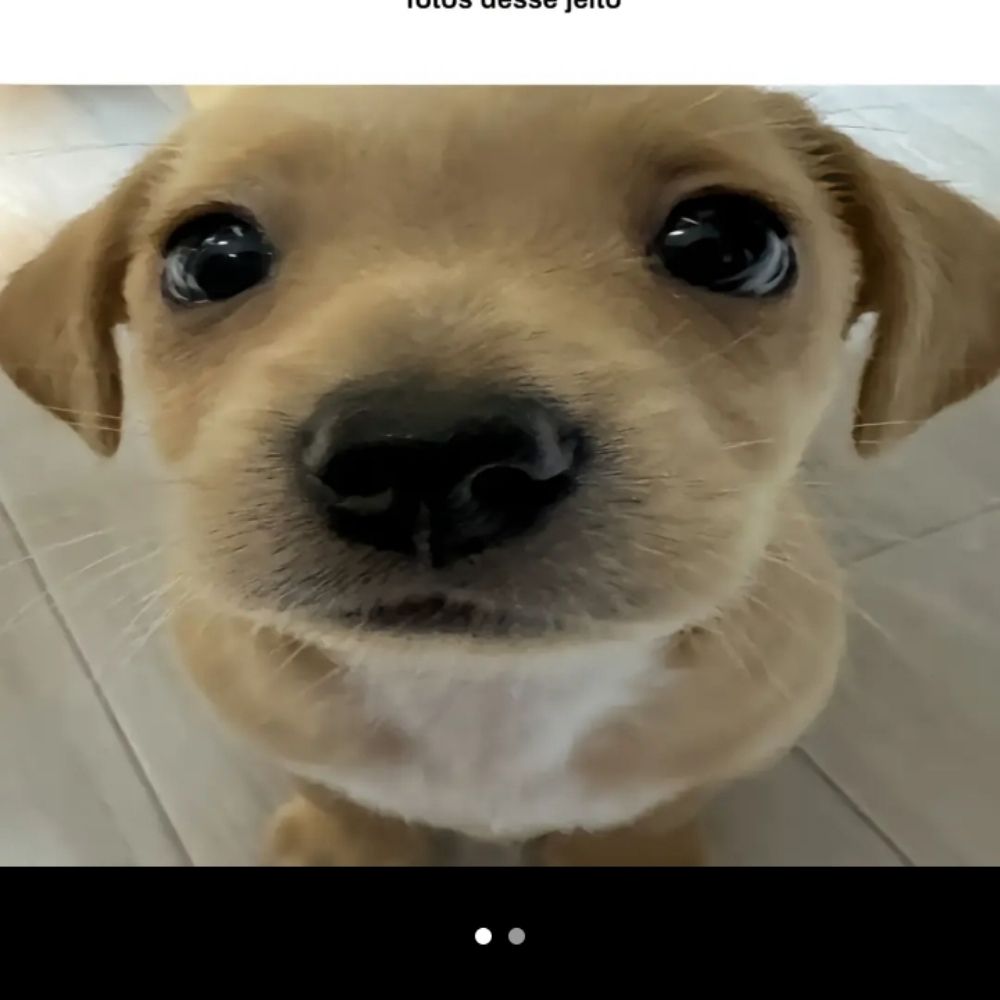 não é a babs☭🚩.