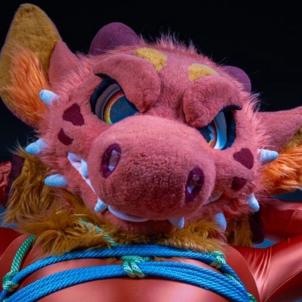 Pooltoy Problem 🐲