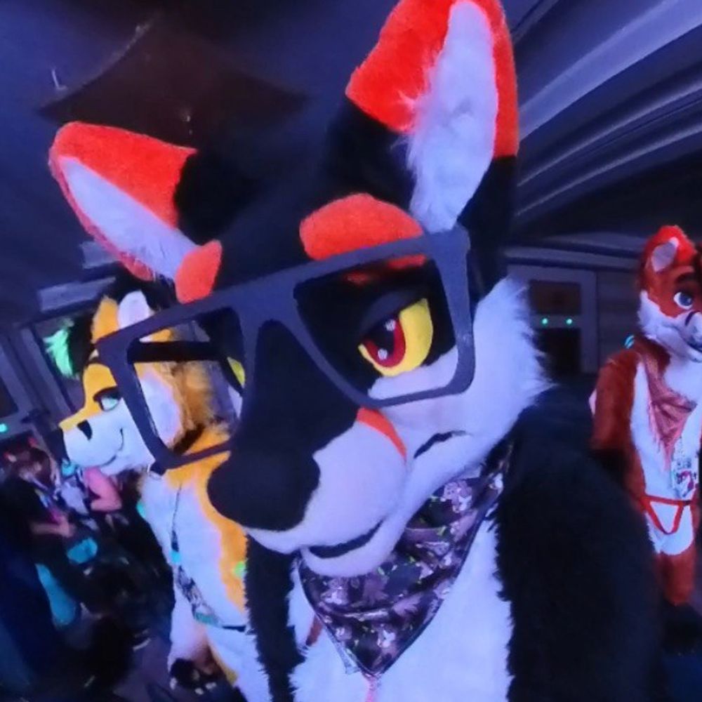 plastickfox