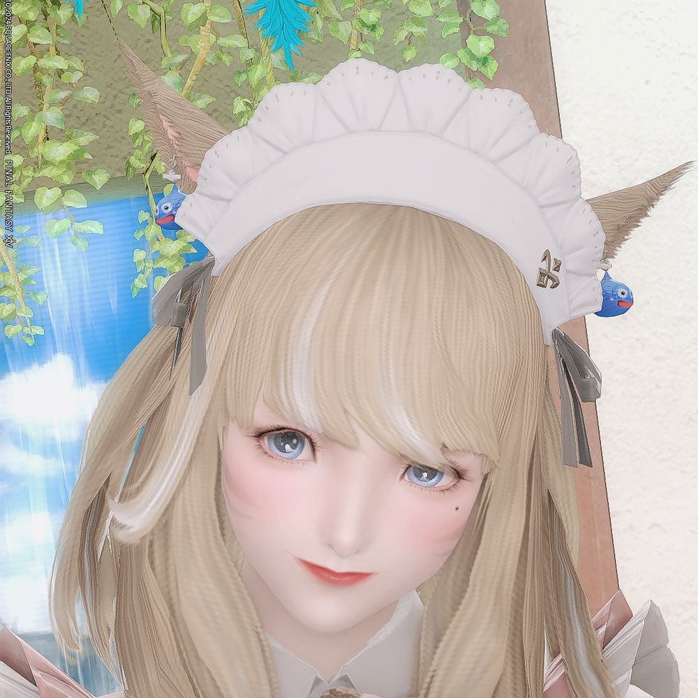 ℂ𝕙𝕣𝕚𝕤 🐾🐈🐾 ℝ𝕚𝕕𝕚𝕝𝕝企み顔普及委員会エオルゼア同盟本部名誉顧問