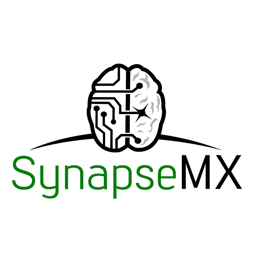 ✈️ SynapseMX 🛠️