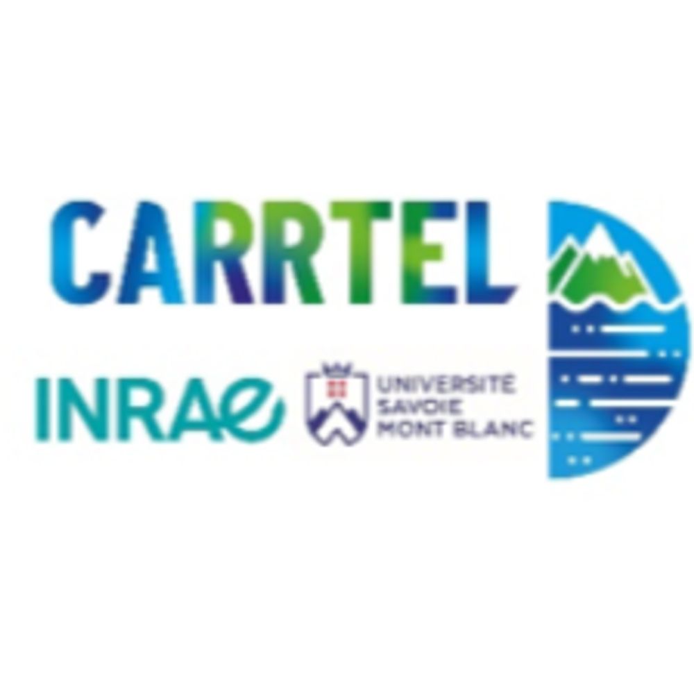 UMR CARRTEL