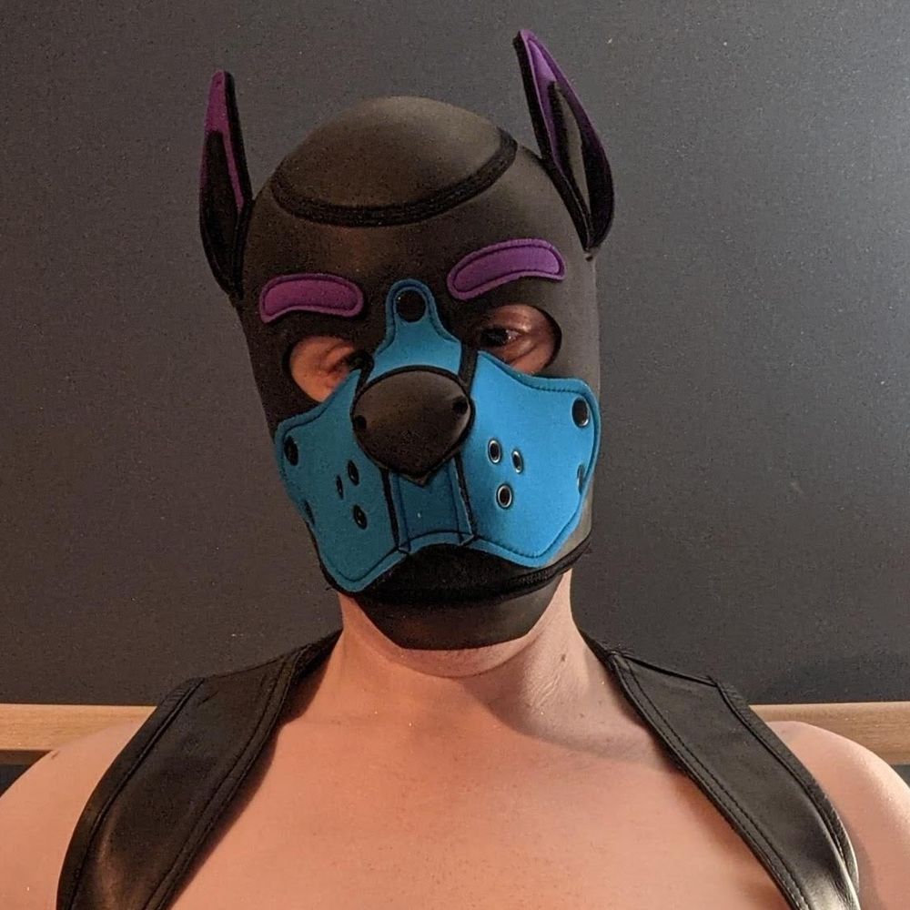 CounterPup