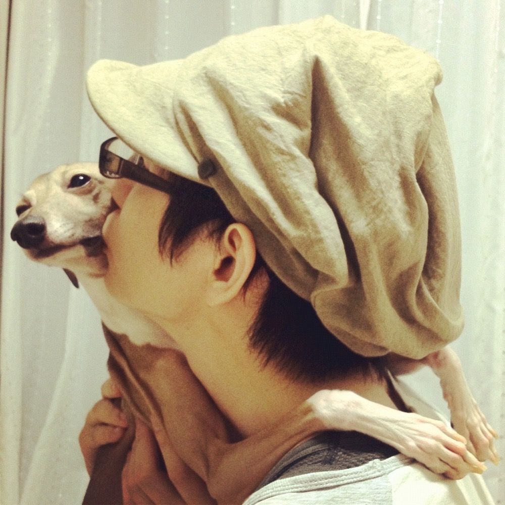 げこたん