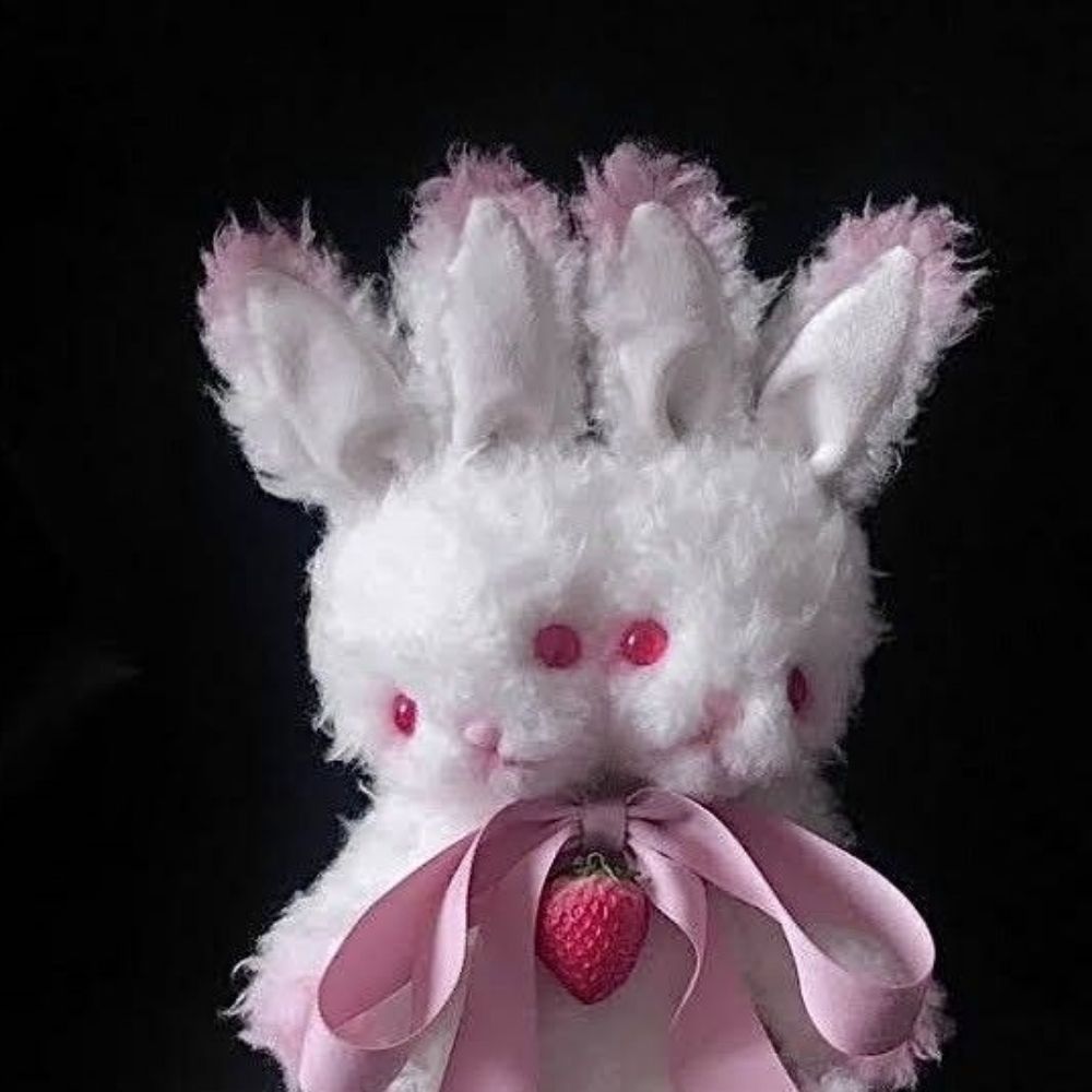𝒶𝓃𝑔𝑒𝓁 🤍🐇