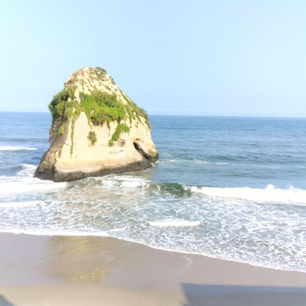 ちこのみ
