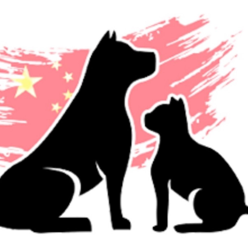 Paws of China